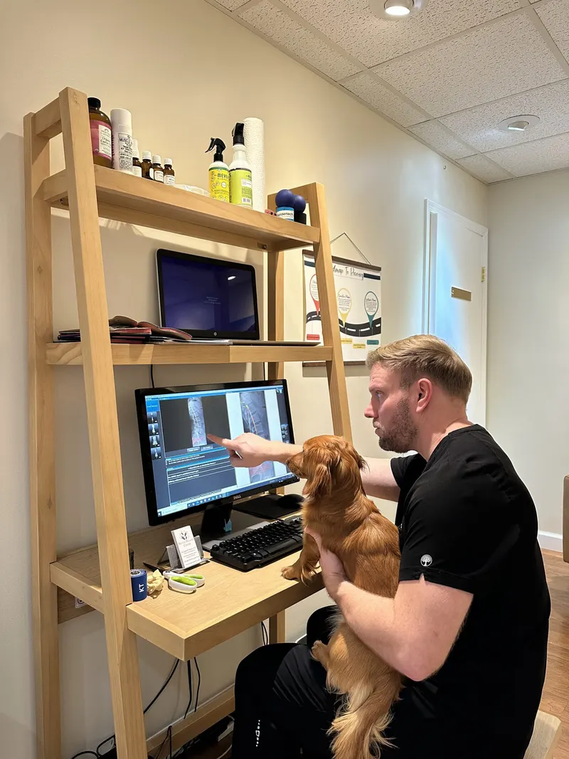 Dr. Jason reviewing a digital X-ray